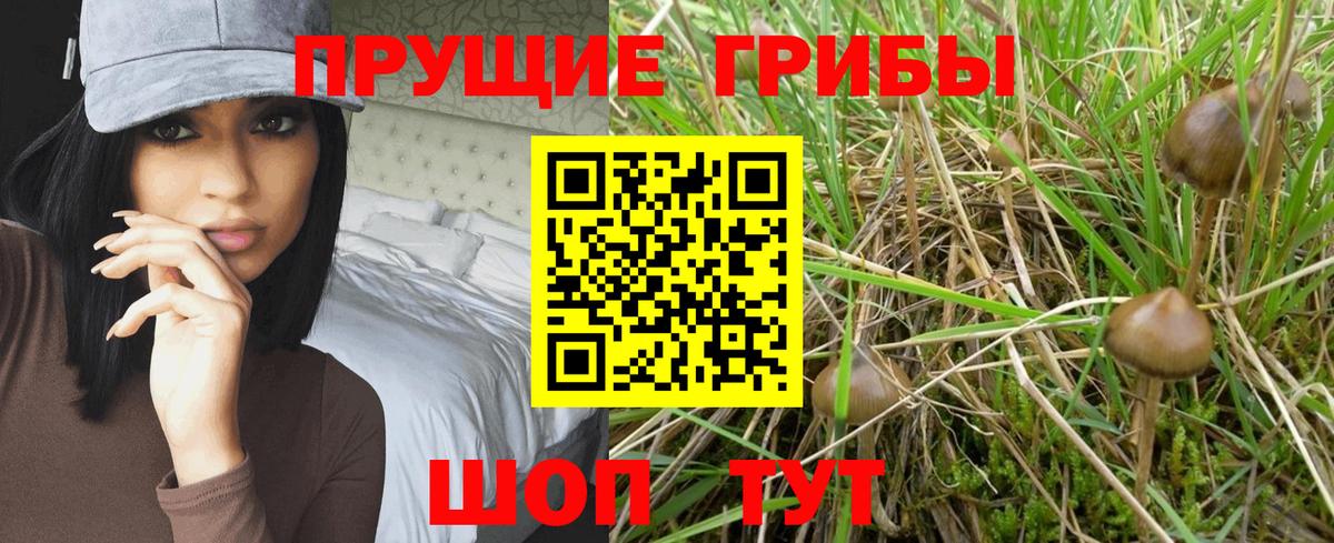 Псилоцибиновые грибы GOLDEN TEACHER Ивантеевка