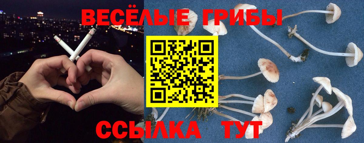Псилоцибиновые грибы ЛСД  Псилоцибиновые грибы прущие грибы  Вход с VPN  Ивантеевка 